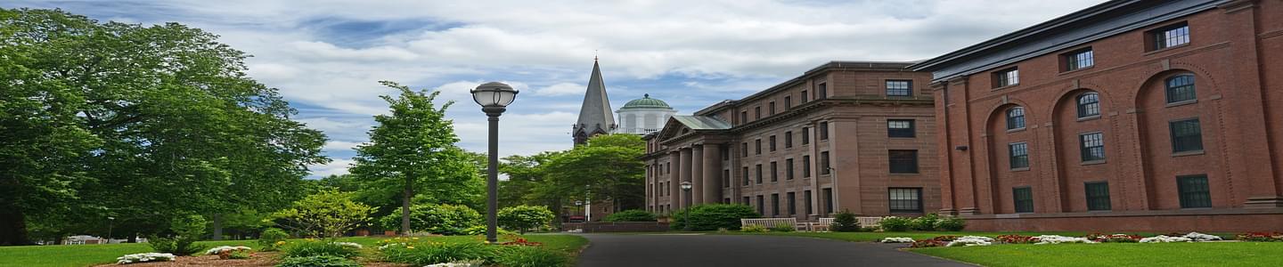 Wesleyan University banner